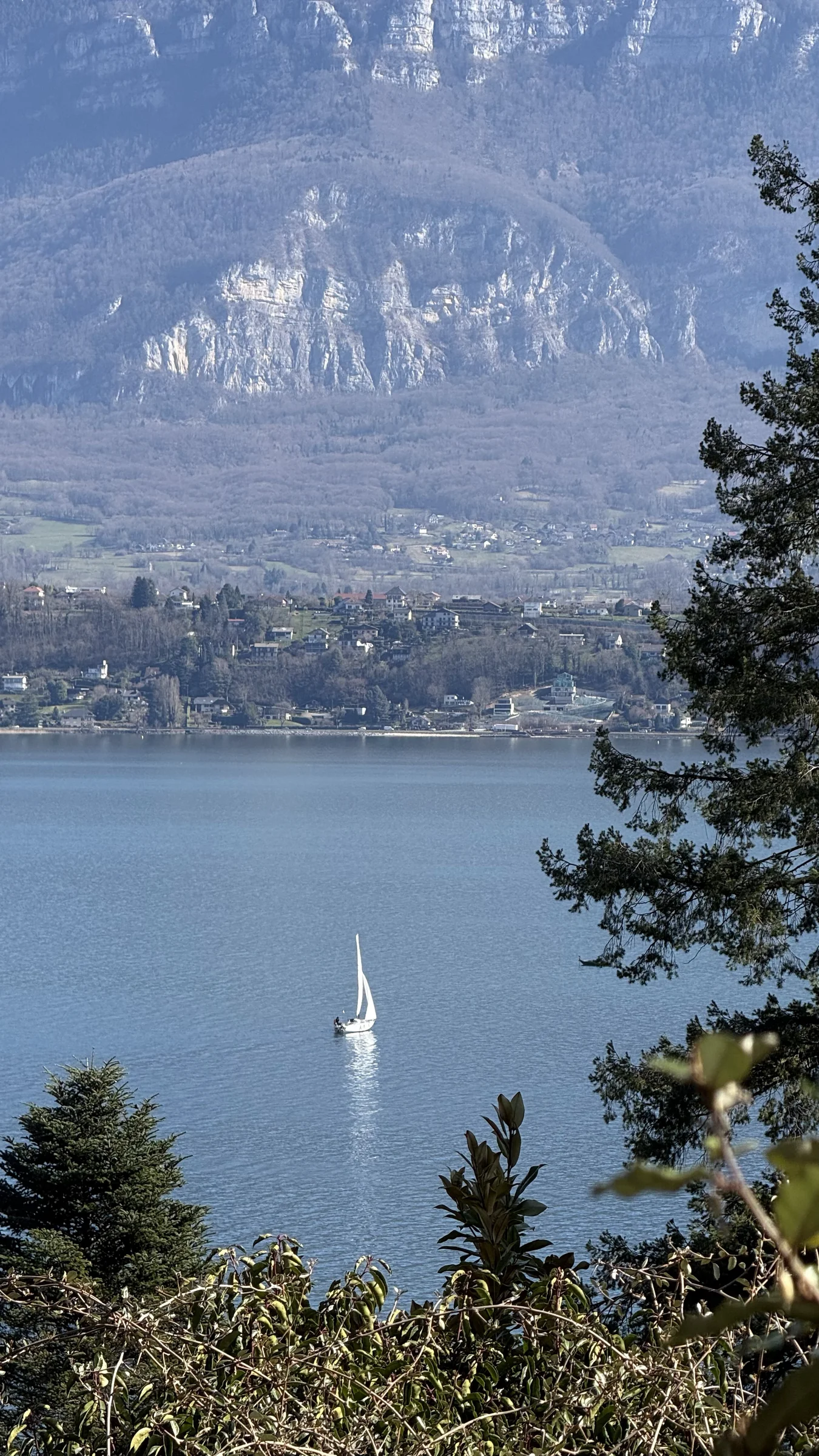 Photographie prise à Bourdeau, rive ouest du lac du Bourget (9)